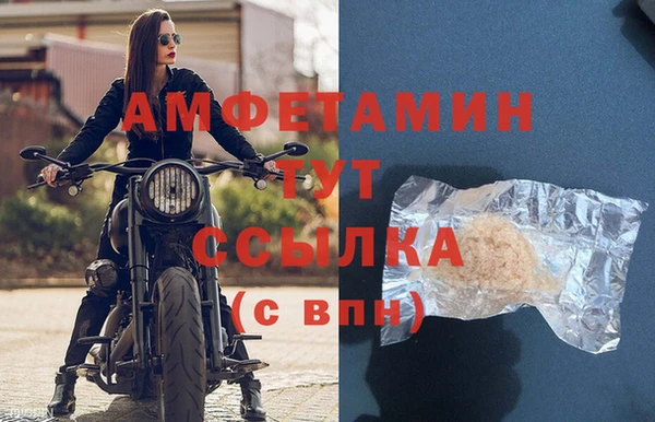 спиды Пересвет