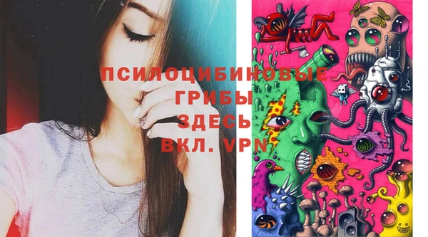 таблы Пестово