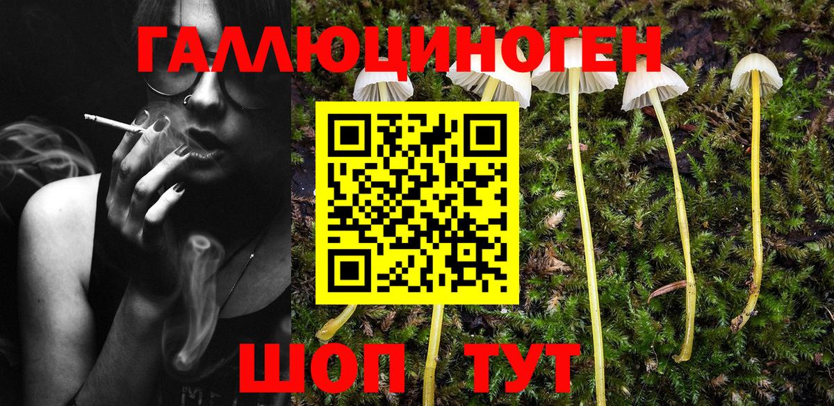 Александров  Псилоцибиновые грибы MAGIC MUSHROOMS  Псилоцибиновые грибы GOLDEN TEACHER  закладка  Вход с VPN 